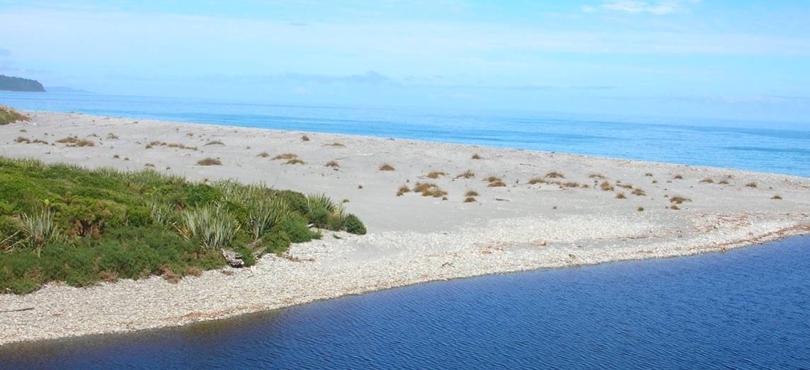 stony beach, littoral zone with beach grasses